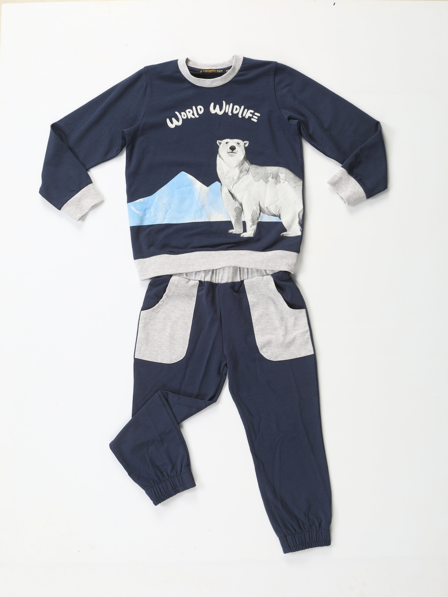 Polar Bear Navy Boys' Tracksuit